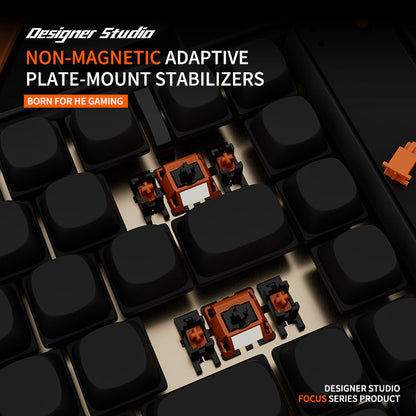 Designer Studio Non-Magnetic Adaptive Plate Mount Stabilizer