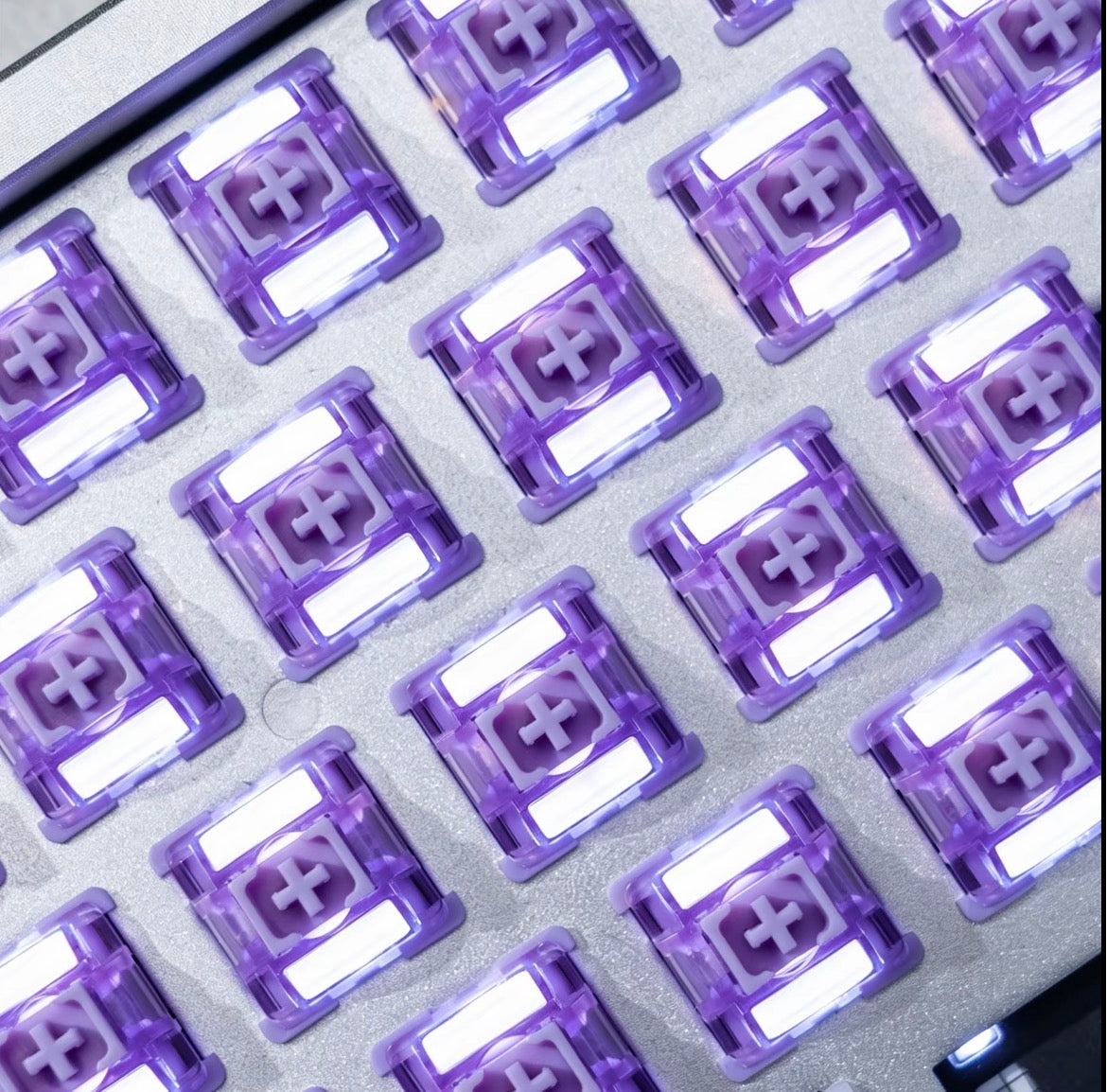 Purple Lotus HE Switch【磁気スイッチ】