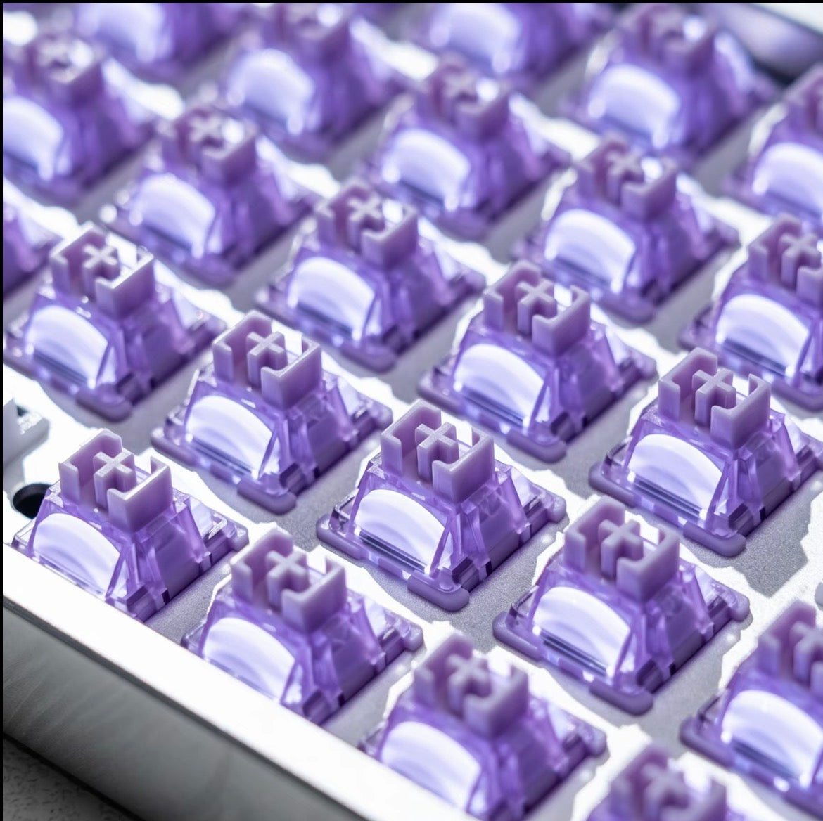 Purple Lotus HE Switch【磁気スイッチ】