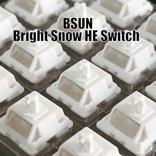 BSUN Bright Snow HE Switch