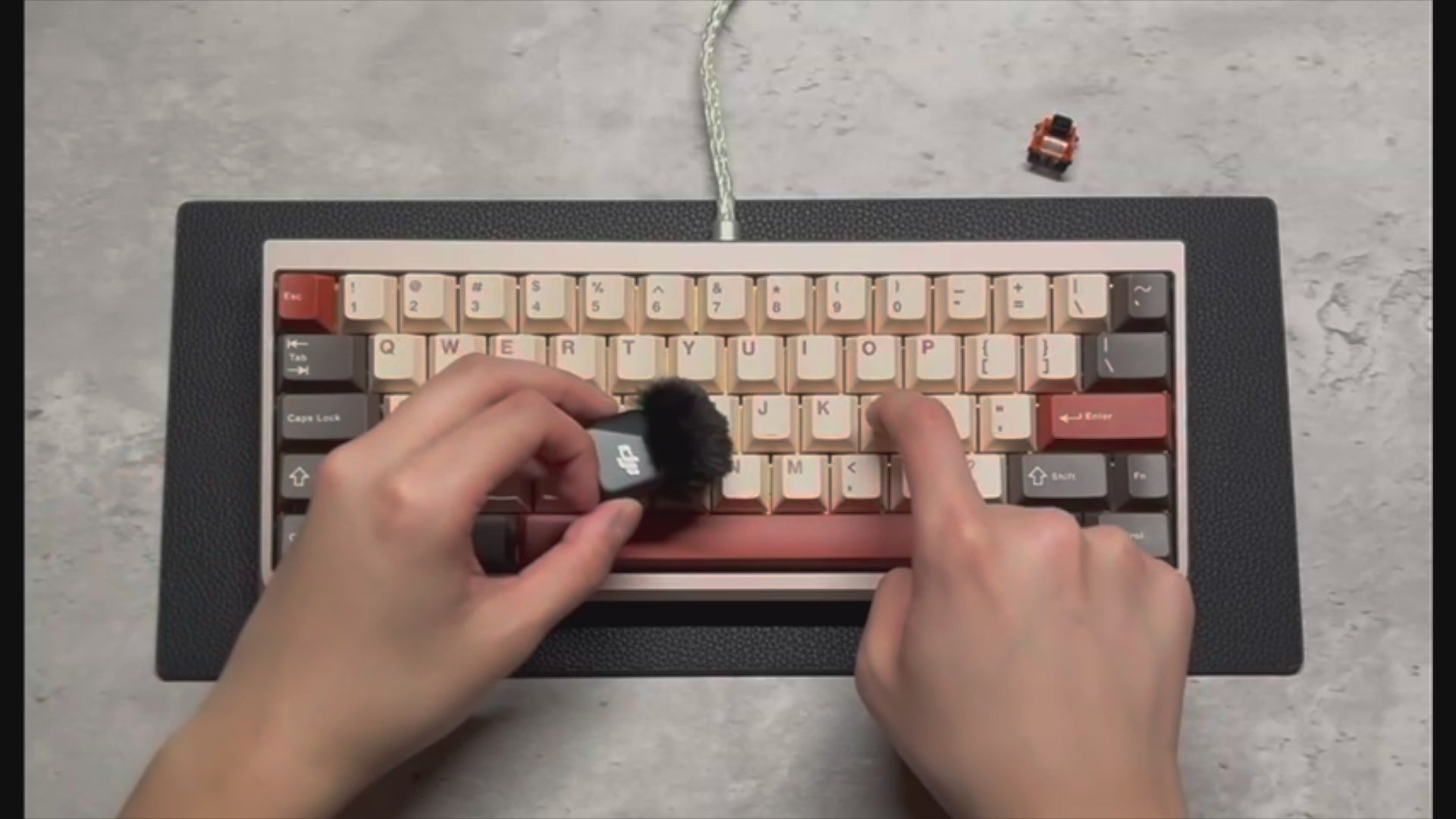 動画を読み込む: 